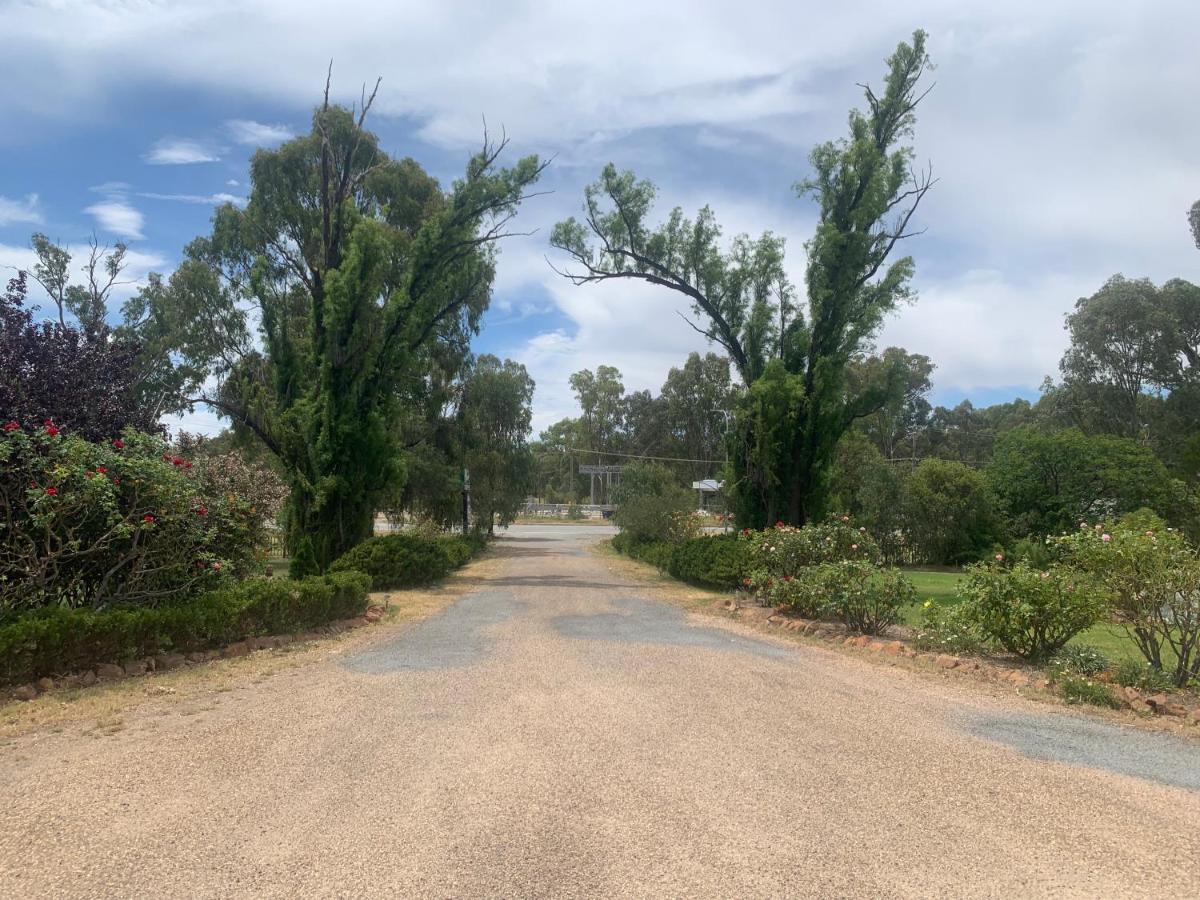 Newell Motor Inn Narrandera Buitenkant foto