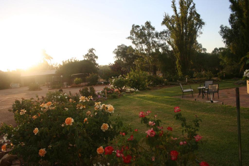 Newell Motor Inn Narrandera Buitenkant foto